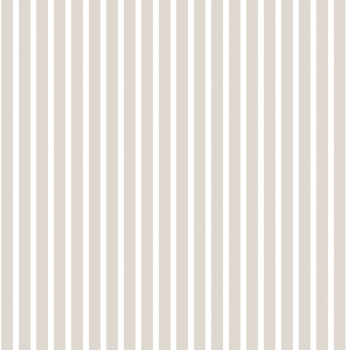 Smart Stripes 2 Butchers Stripe Silver Grey Wallpaper G67542