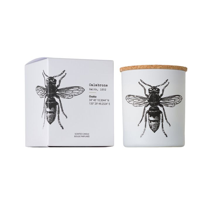 Candle in Jar INSECT 190gr CALABRONE 3.35 diam. x 4.13 in