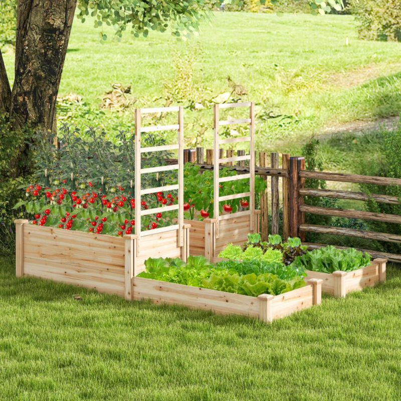 Hivvago Raised Garden Bed with Trellis