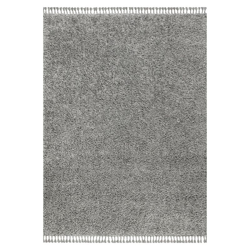 Mercer Shag Plush Tassel Area Rug