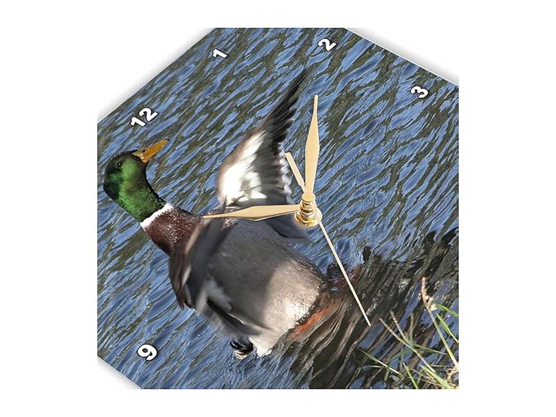 Drake Male Mallard Duck Wall Clock 15 Inch Home Decor image number 3