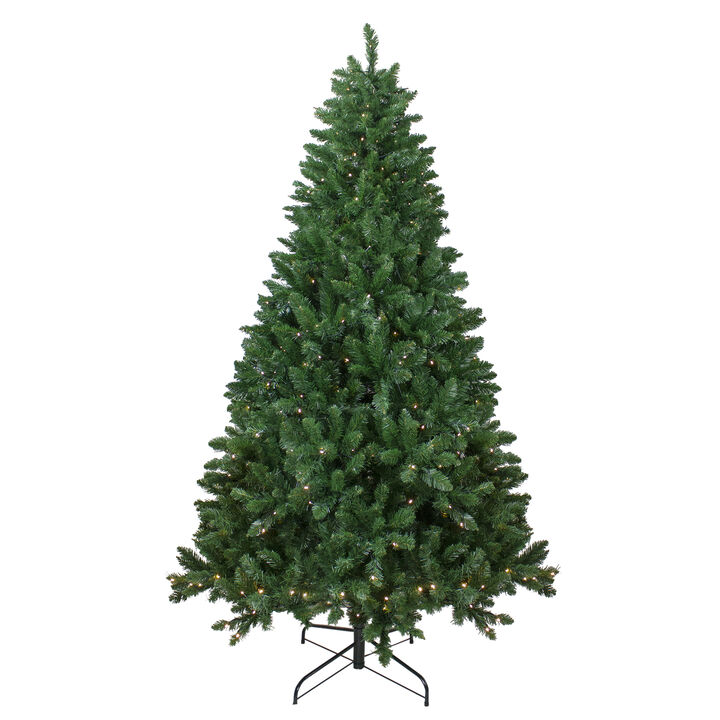 7.5' Pre-Lit Full Twin Lakes Fir Artificial Christmas Tree - Warm White LED Lights