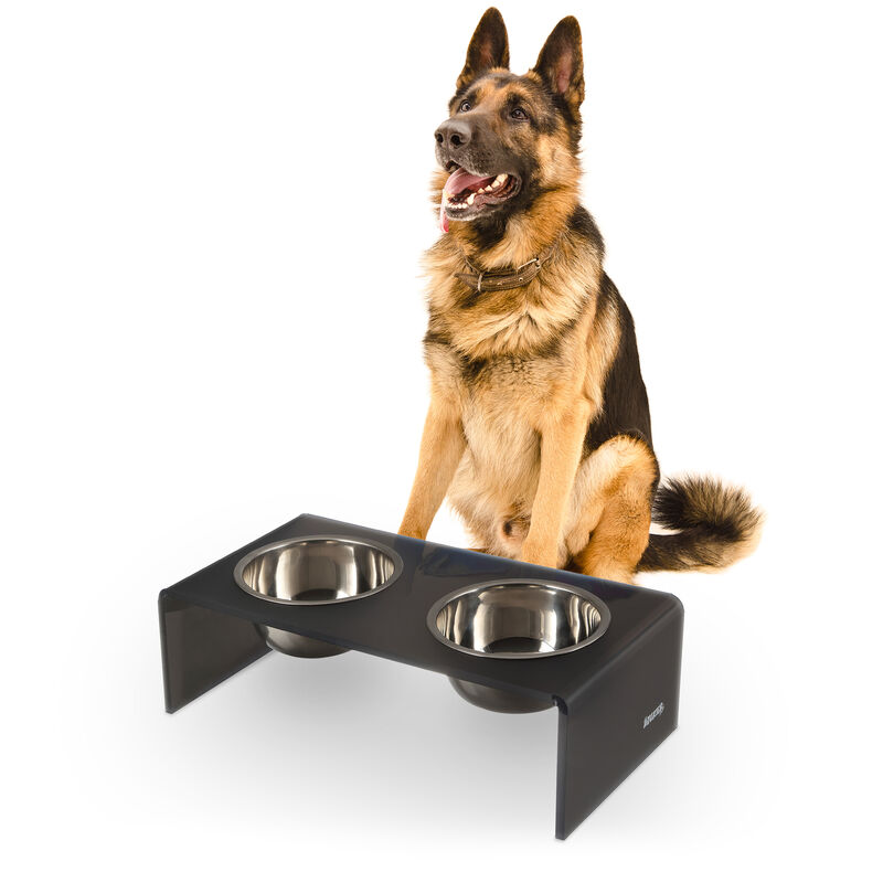 Keaton Modern Acrylic Rectangular Elevated Pet Feeder with Stainless Steel Bowls