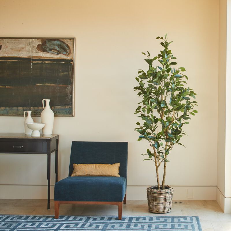 7' Citrus Lemon Tree image number 1