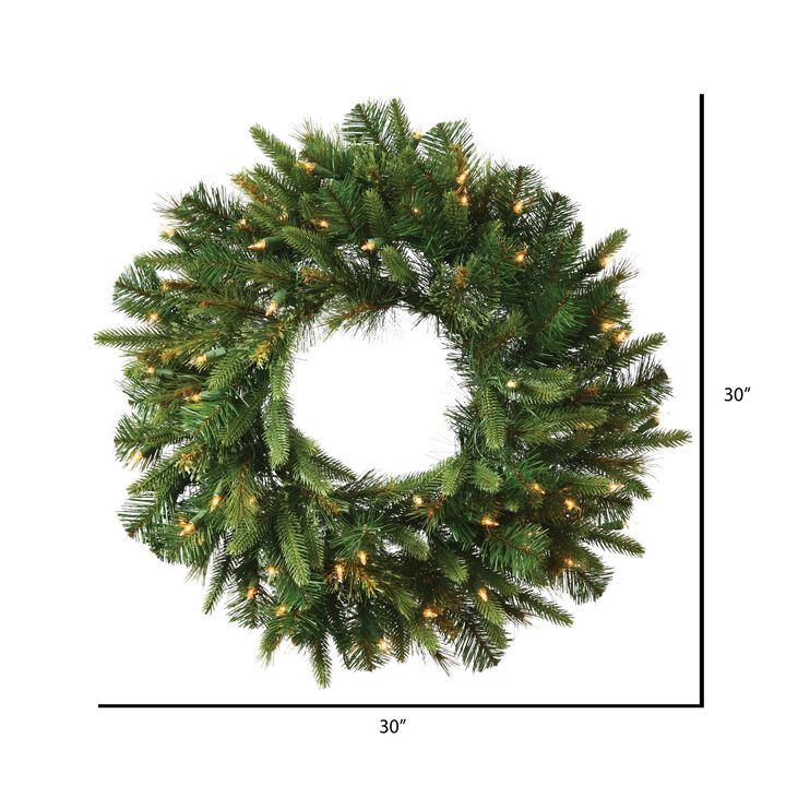 Vickerman Cashmere Wreath Garland with 30 Warm White Battery Operated Timer, 30-Inch