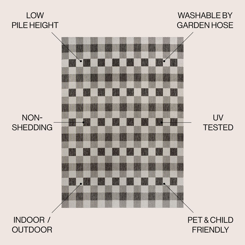 Darcy Traditional Geometric Bold Gingham Indoor/Outdoor Area Rug