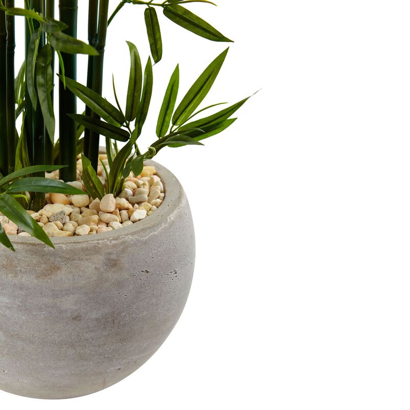 HomPlanti 4 Feet Bamboo Tree in Sand Colored Bowl