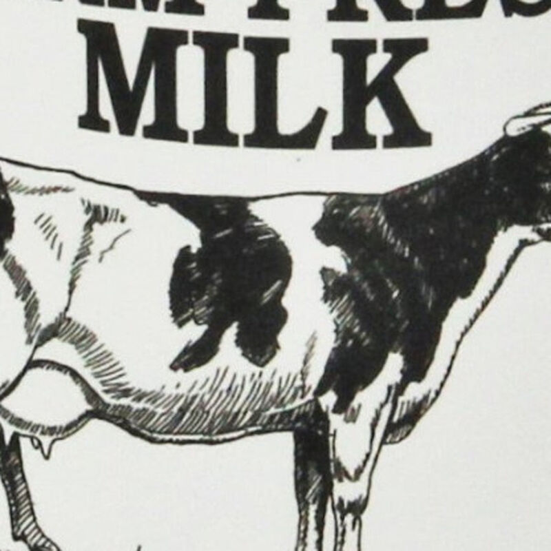 Hivvago 8 Inch Black And White Metal Jug Vase