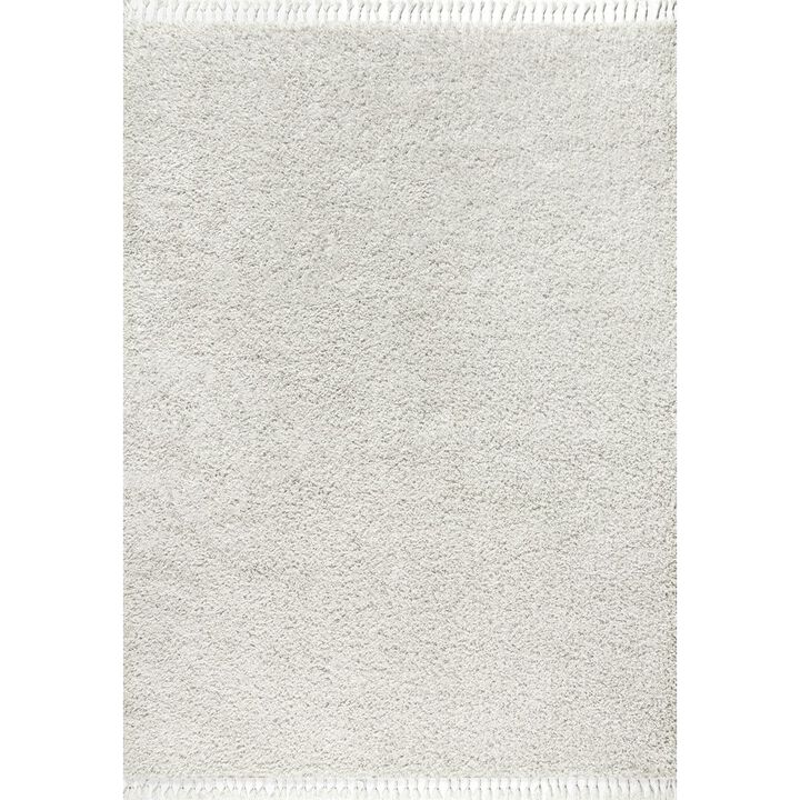 Mercer Shag Plush Tassel Area Rug