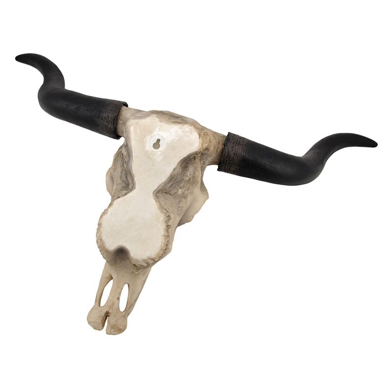 Huge Wall Hanging Longhorn Cow Skull 27in Wide Resin Long Horn Steer Wall Decor image number 2