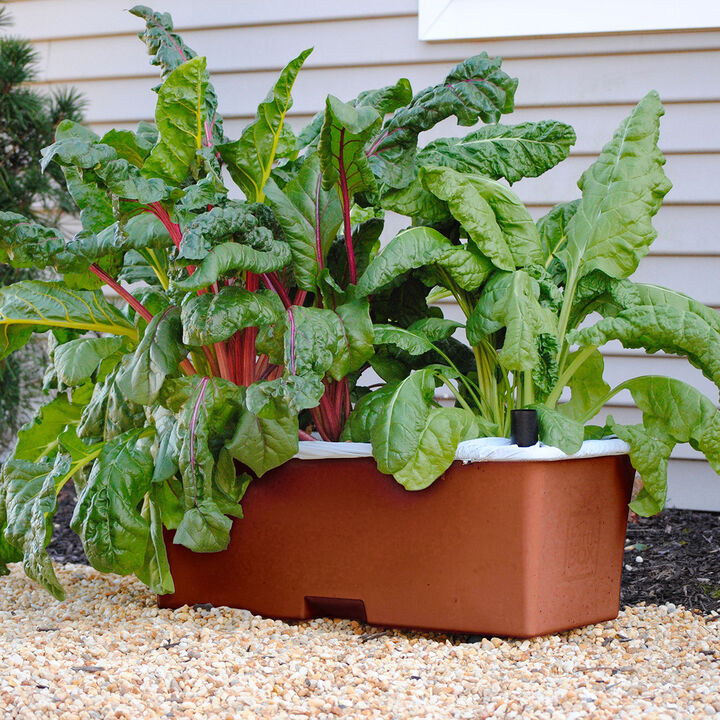 EarthBox Original Garden Kit with Fertilizer, Dolomite, & Wheels