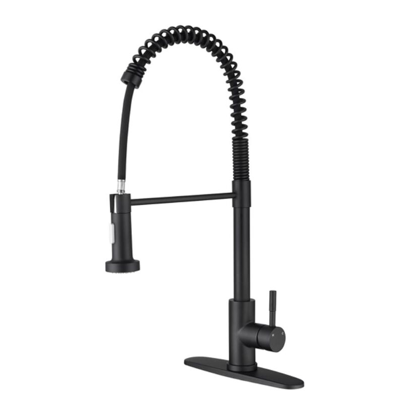 Kitchen Faucet with Pull-Out Spray Flexible Faucet for Easy Cleaning and Rinsing