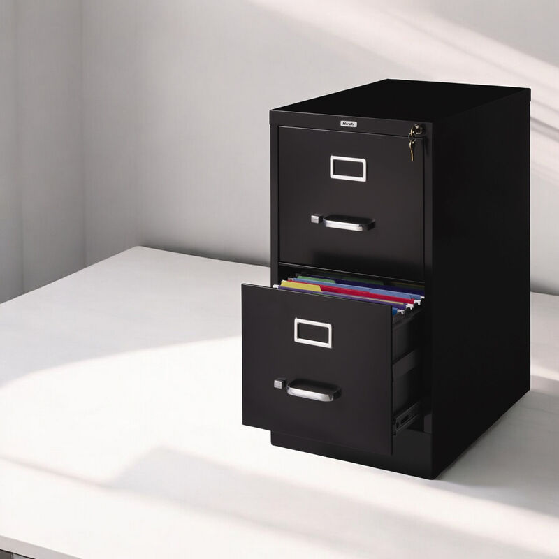 2-Drawer Vertical Metal Filing Cabinet with Lock for Secure Storage