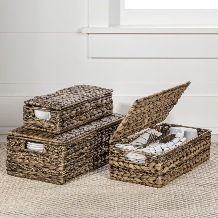 Sandrine Classic Farmhouse Handwoven Hyacinth Storage Baskets with Handles and Lids