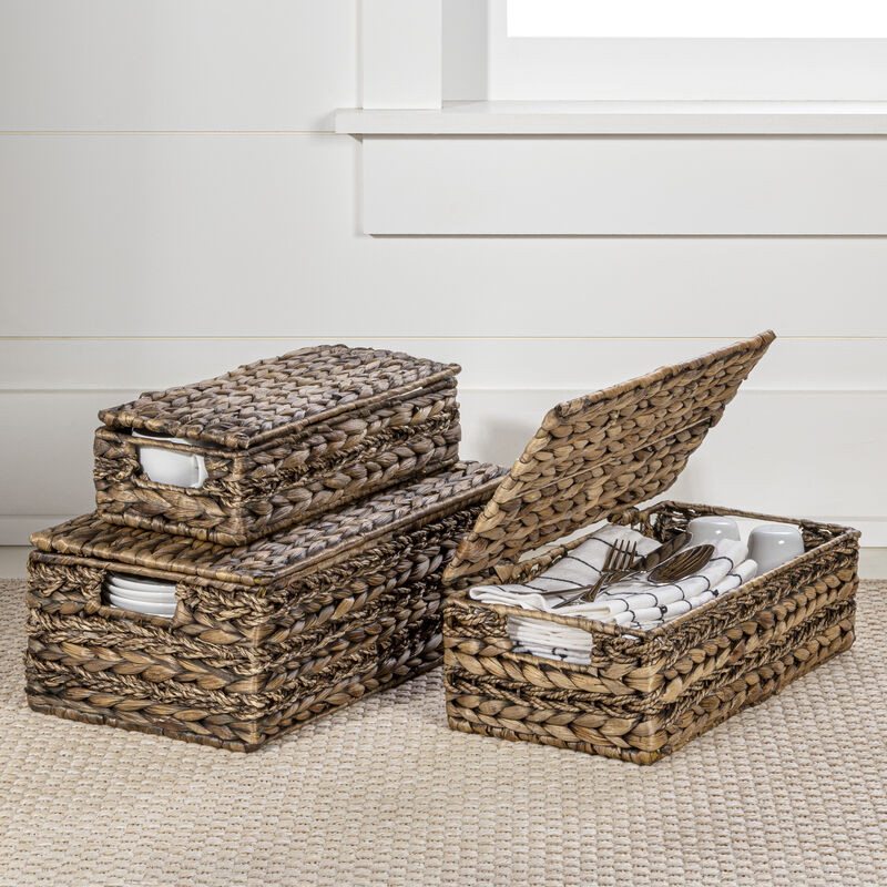 Sandrine Classic Farmhouse Handwoven Hyacinth Storage Baskets with Handles and Lids
