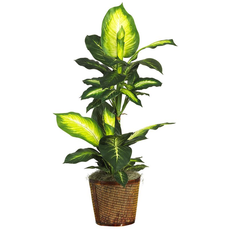 Hivvago 42" Golden Dieffenbachia w/Basket Silk Plant