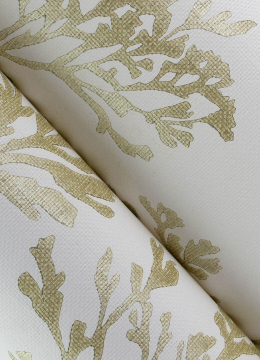 Tortuga Gold Coral Wallpaper