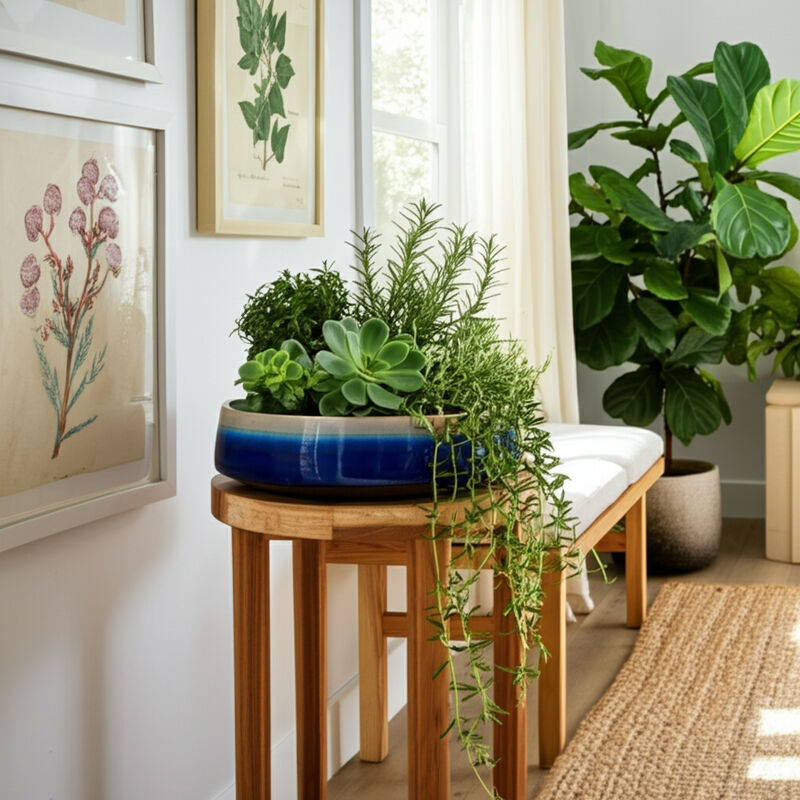 Succulent Planter Bowl