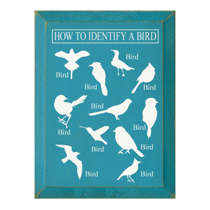 Bird Identification Chart Wall Decor From Solid Knotty Pine