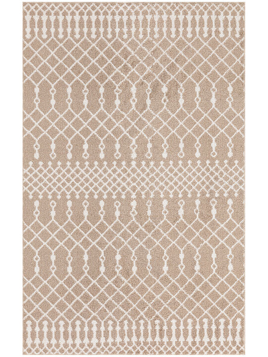 Astra Machine Washable ASW10 Taupe 3'3" x 5' Rug