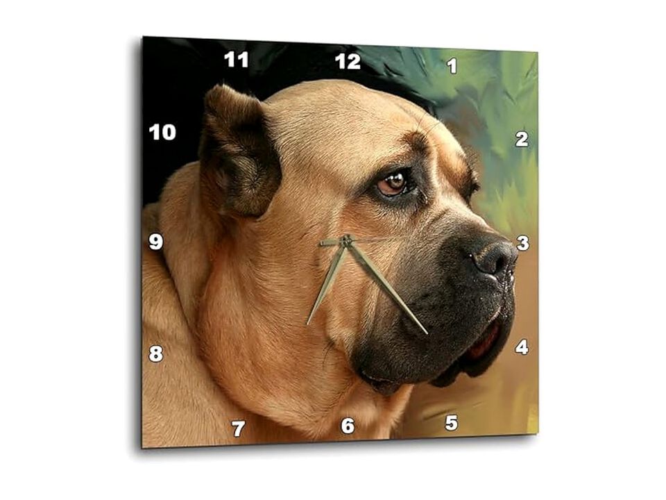 Cane Corso Wall Clock 10 Inch Home Decor