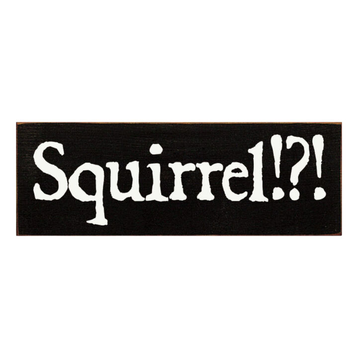 Squirrel Wood Sign Rustic Farmhouse Wall Decor for Living Room, Cabin or Entryway