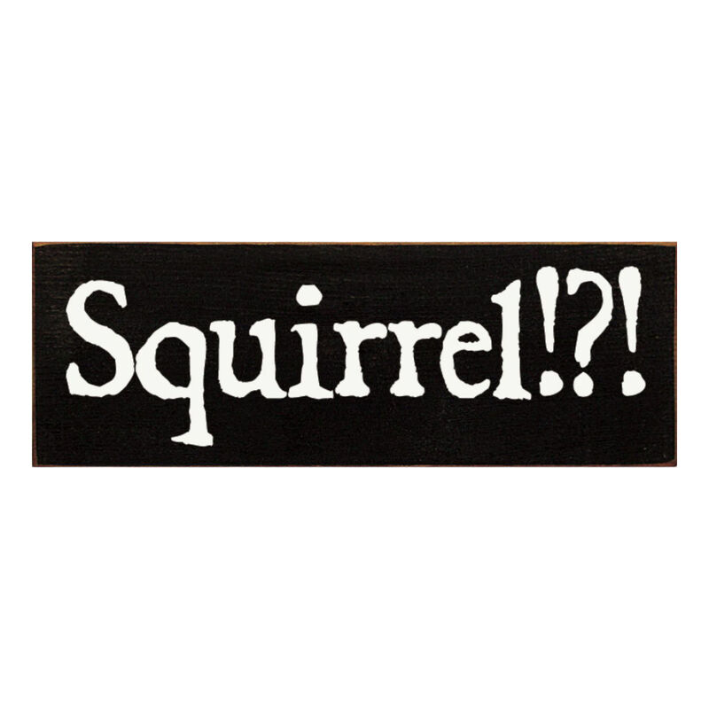 Squirrel Wood Sign Rustic Farmhouse Wall Decor for Living Room, Cabin or Entryway image number 0