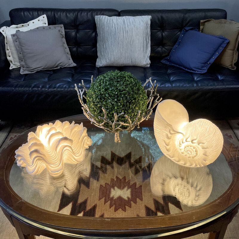 White Sandstone Finish Frilled Nautilus Shell Accent Lamp 10 Inches High image number 5