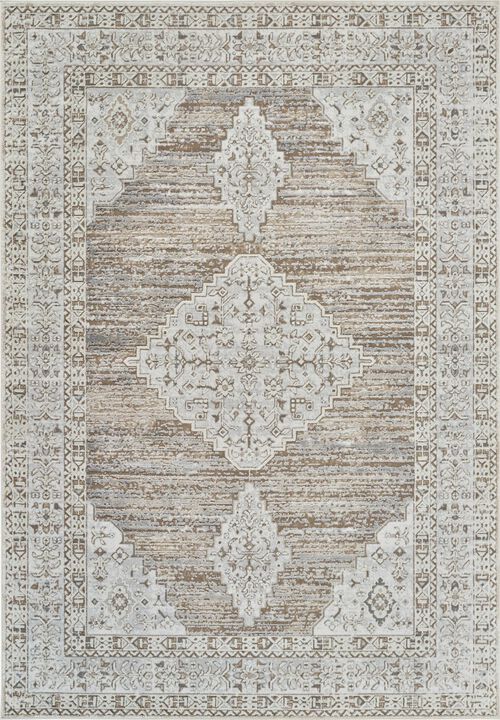 HomeRoots Abstract Distressed Area Rug