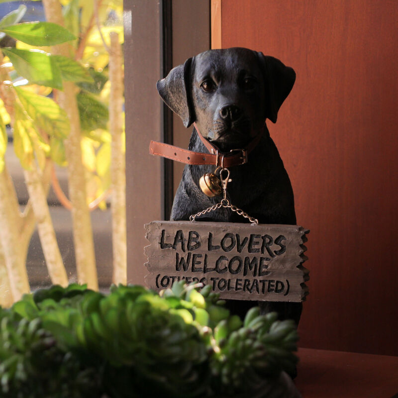 Black Lab Dog Indoor Outdoor Welcome Statue with Reversible Message Sign image number 7