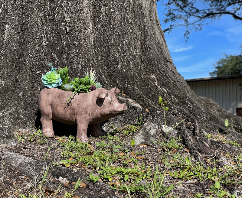 17 Inch Long Rustic Brown Finish Smiling Pig Planter image number 6