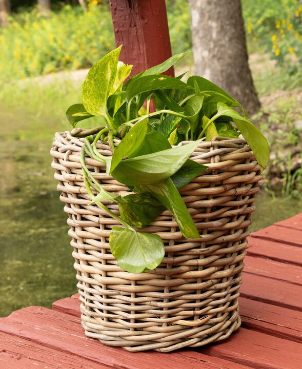 Saboga Home&trade; Round Planter with Plastic Insert