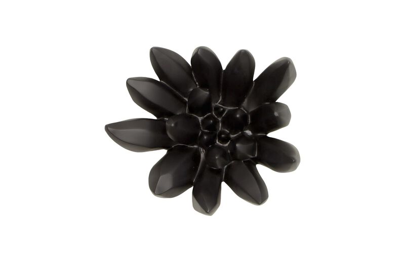 Compactum Succulent Wall Art on Matte Black