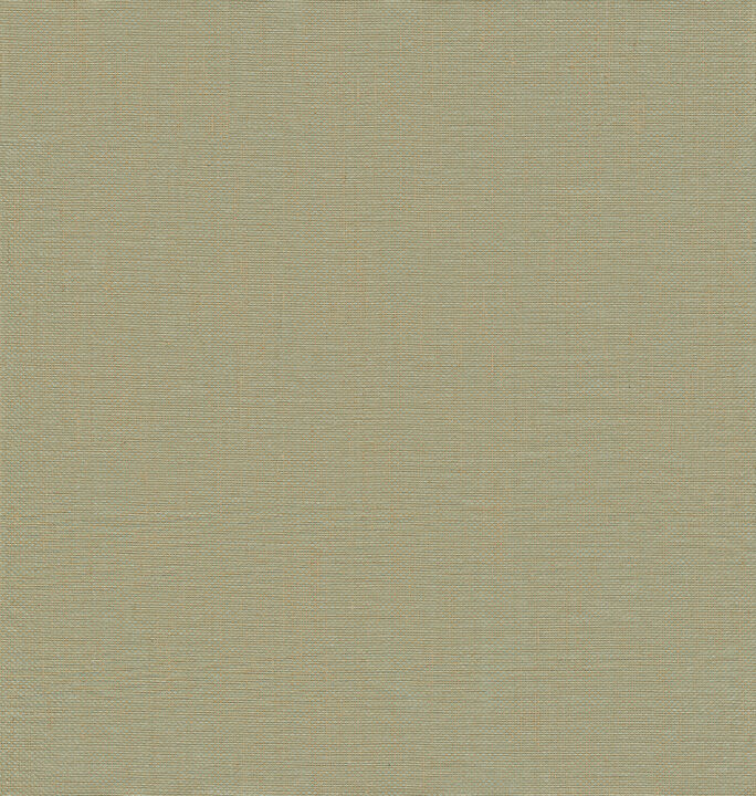 Yanyu Sage Paper Weave Grasscloth Wallpaper (Set of 2)