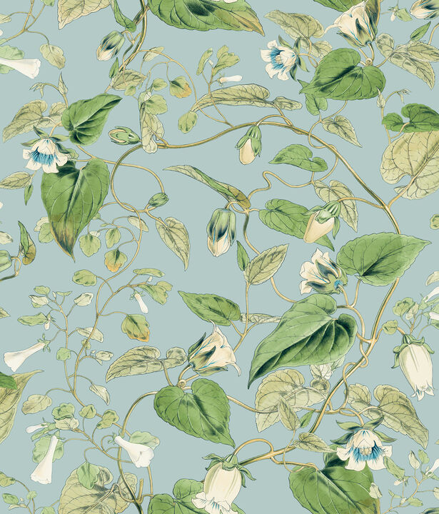 Moon Flower Sky Blue Wallpaper