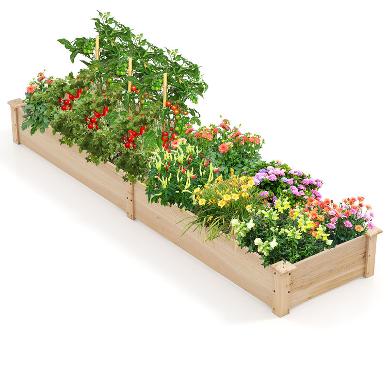 Raised Garden Bed with 2 Planter Boxes and Dividers for Organized and Efficient Outdoor Gardening