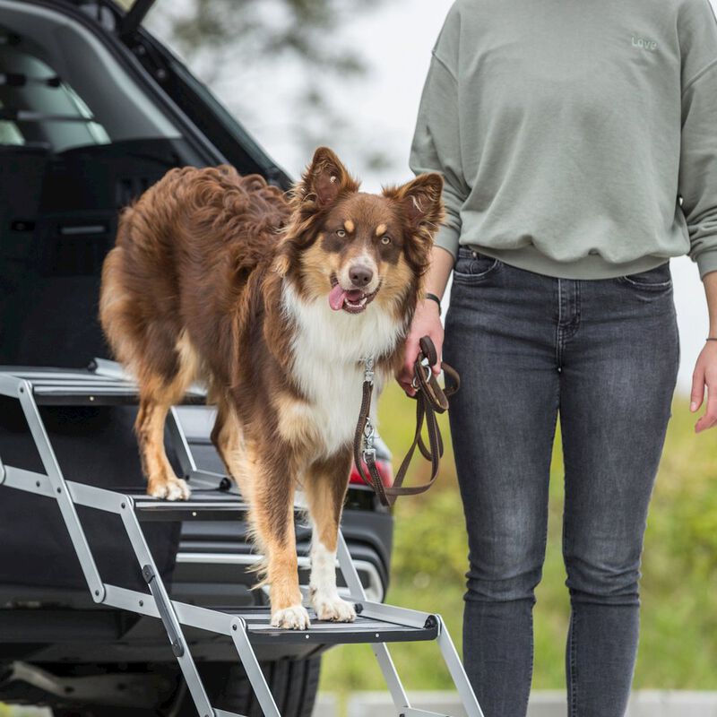 TRIXIE Heavy Duty Foldable 4 Step Pet Stairs, Lightweight Aluminum, Portable Pet Steps image number 2