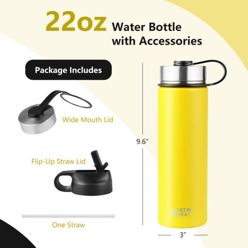 Costway22 Oz Double-walled Insulated Stainless Steel Water Bottle with 2 Lids and Straw