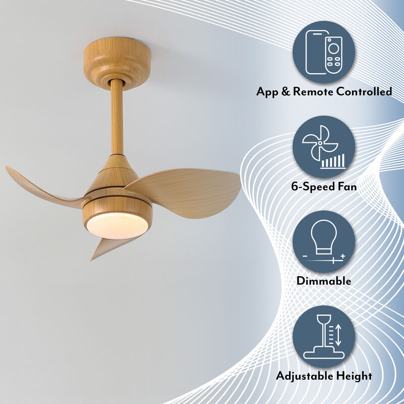 Albini 22" Contemporary Minimalist 6-Speed Metal Mobile-App/Remote-Controlled Dimmable Smart Integrated LED Ceiling Fan