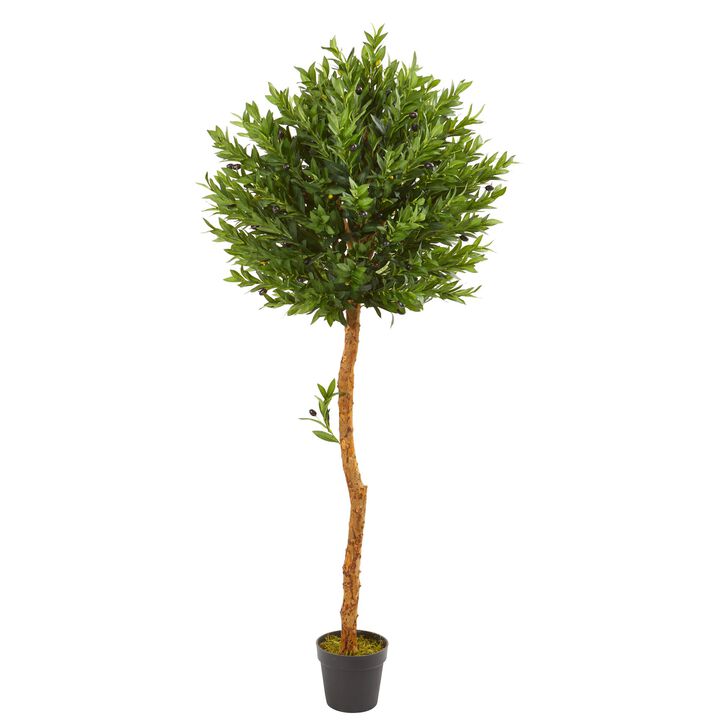 HomPlanti 5.5 Feet Olive Topiary Artificial Tree UV Resistant (Indoor/Outdoor)
