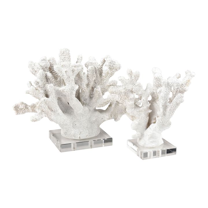 Coral Sculpture Set