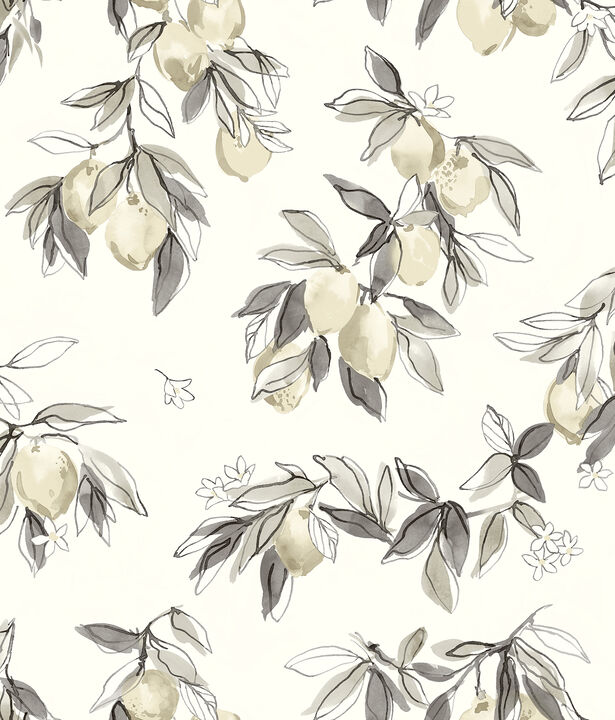 Lemonade Charcoal Citrus Wallpaper