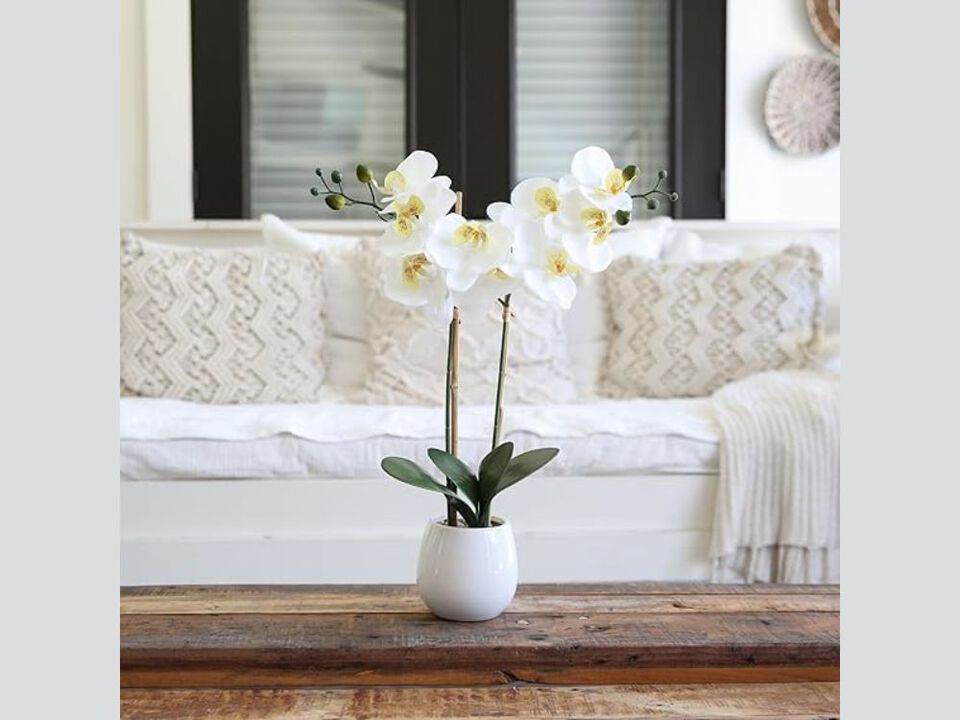 Artificial Orchid Flowers Real Touch Vase Filler 26in Double