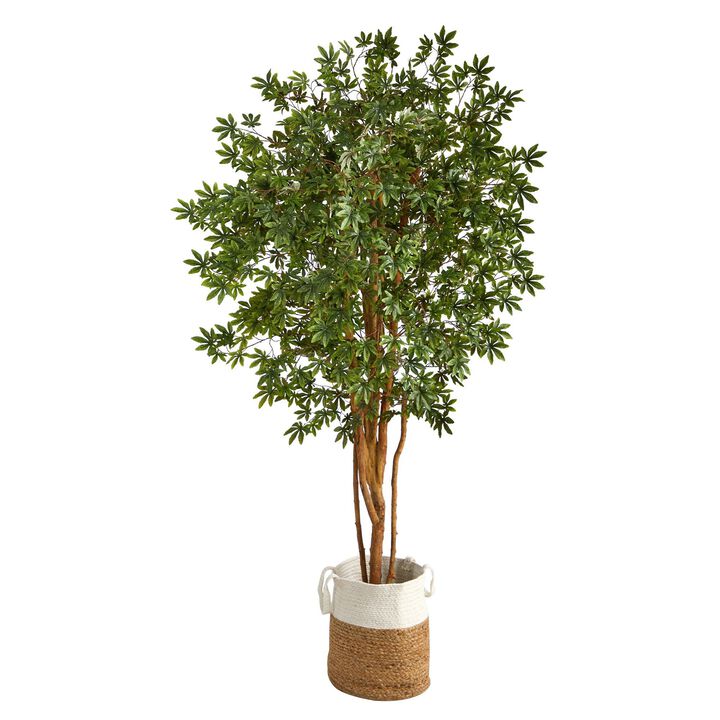 Nearly Natural 6-ft Japanese Maple Tree in Handmade Natural Jute Planter