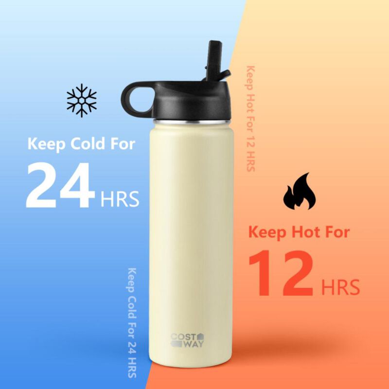 Costway22 Oz Double-walled Insulated Stainless Steel Water Bottle with 2 Lids and Straw