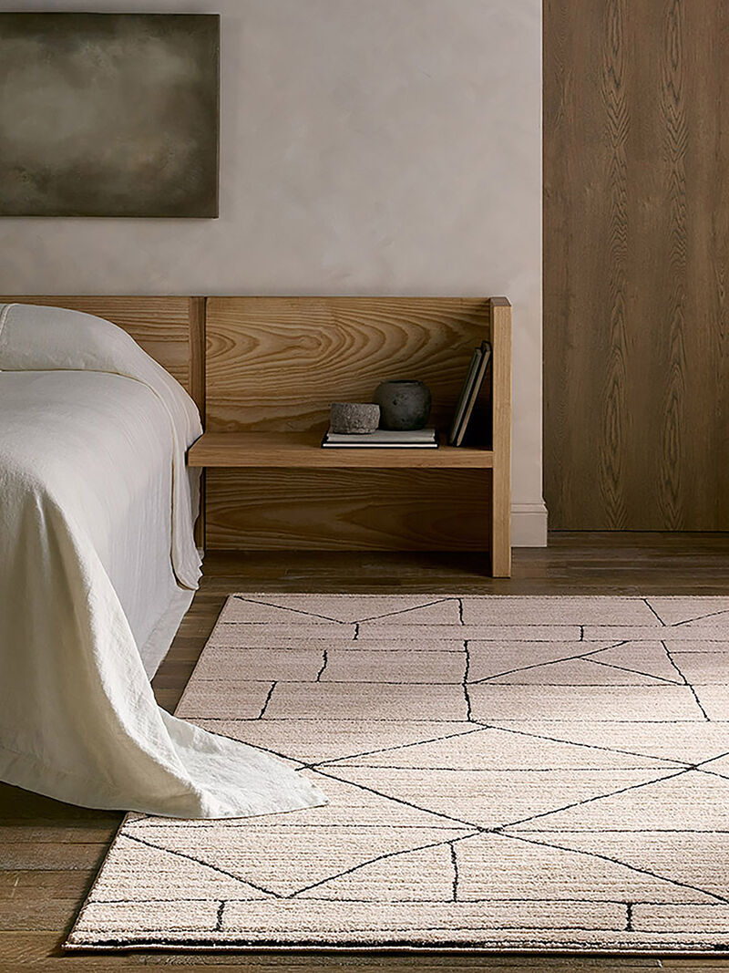 Eva Farhan Tan/Taupe 9'6" x 13'6" Rug image number 1