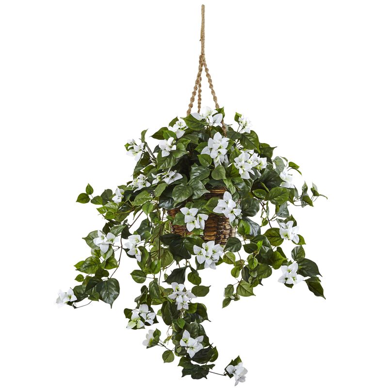 Hivvago Bougainvillea Hanging Basket
