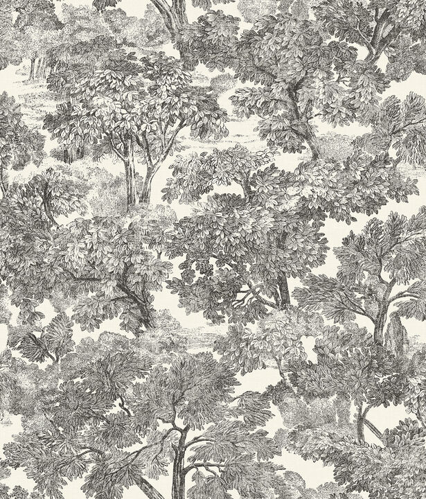 Spinney Black Toile Wallpaper (Set of 2)