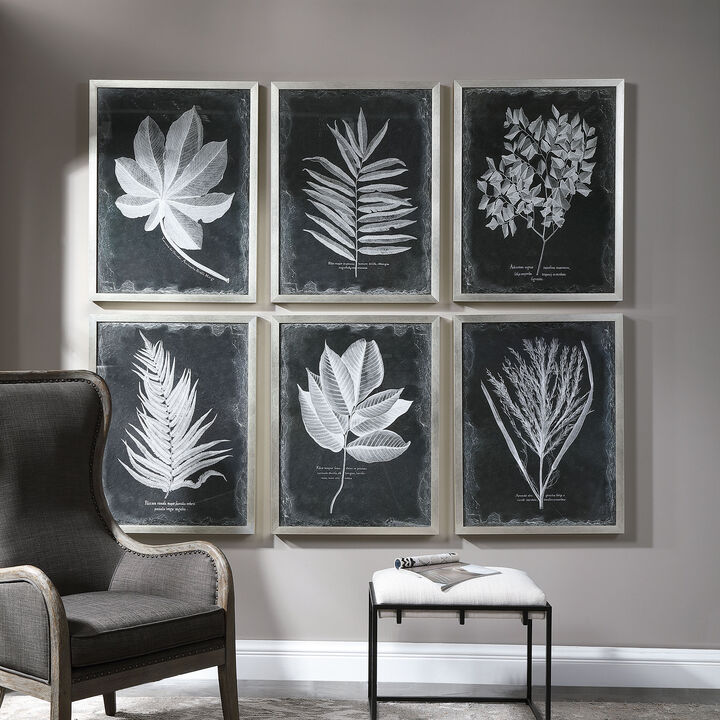 Foliage Framed Prints (Set of 6)
