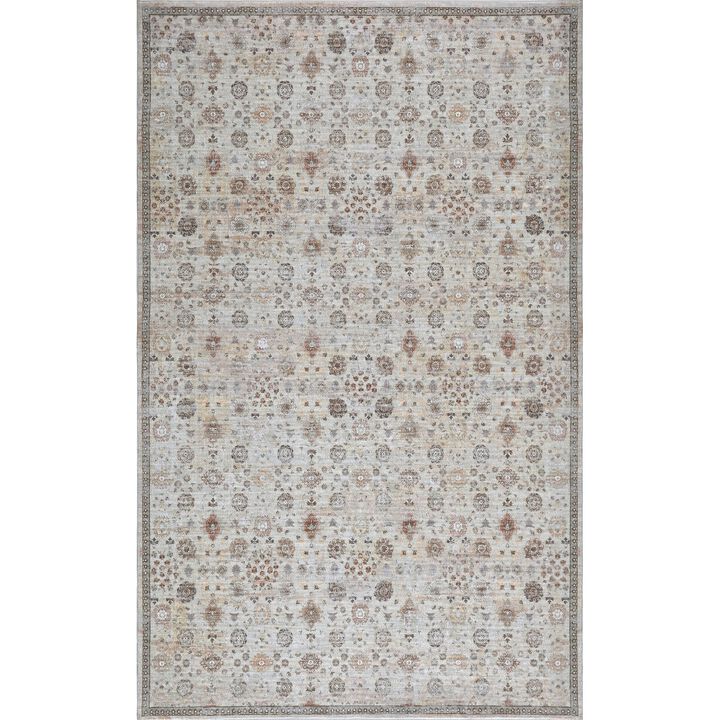 Petunia Distressed All-Over Floral Border Blue/Light Area Rug